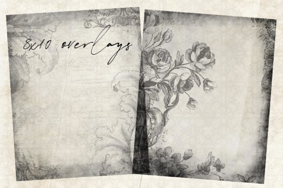Download Floral Overlays 8x10 - Floral overlays Collection