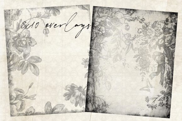 Download Floral Overlays 1 - Floral overlays Collection