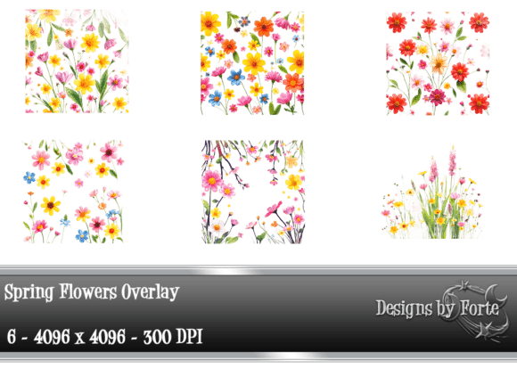 Download 6 Vibrant Spring Floral Overlays - Floral overlays Collection