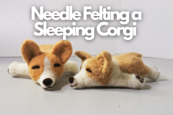 Download Needle Felting a Sleeping Corgi - Premium Bundle