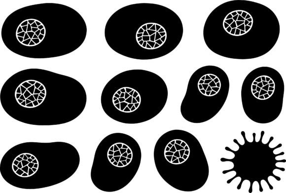 Download Abstract Organic Shapes Black White - Shapes Collection